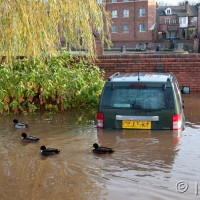 York Flooding Dec 2009 1005 1103